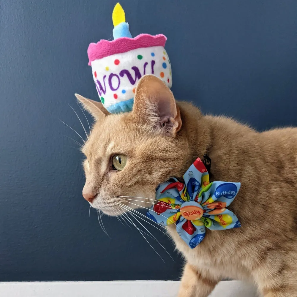 Party Time Pinwheel